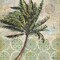 Delray Palm I Poster Print by Paul Brent - Item # VARPDXBNT981